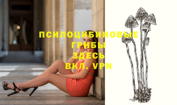 кокаин колумбия Алексин