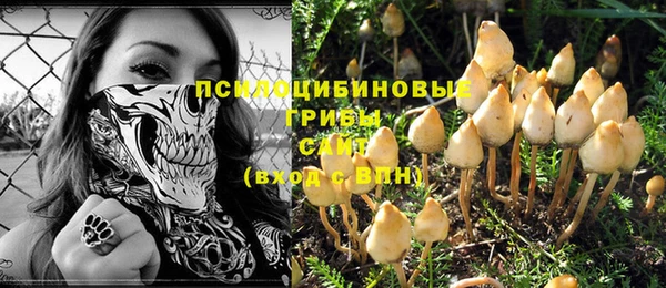 кокаин колумбия Алексин