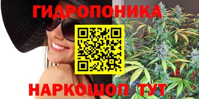 ПСИЛОЦИБИНОВЫЕ ГРИБЫ Изобильный