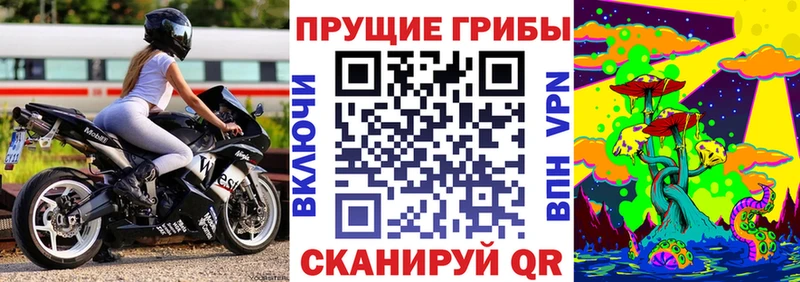 shop официальный сайт  сколько стоит  Лосино-Петровский  Галлюциногенные грибы Psilocybine cubensis  МЕГА маркетплейс 