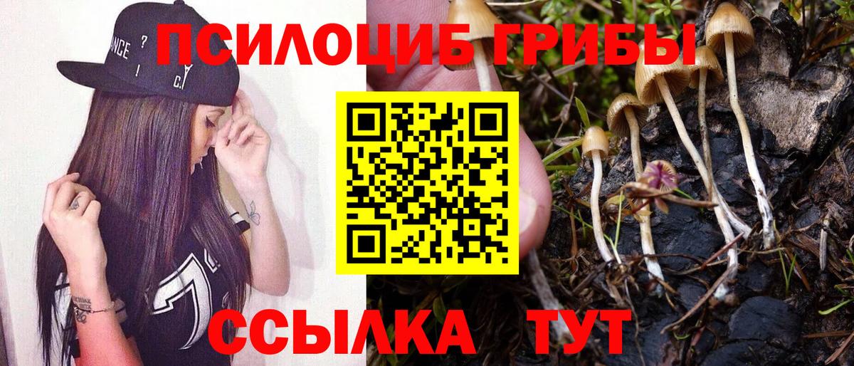 Галлюциногенные грибы Psilocybe  Псилоцибиновые грибы Psilocybe  Вход с VPN  Лосино-Петровский 